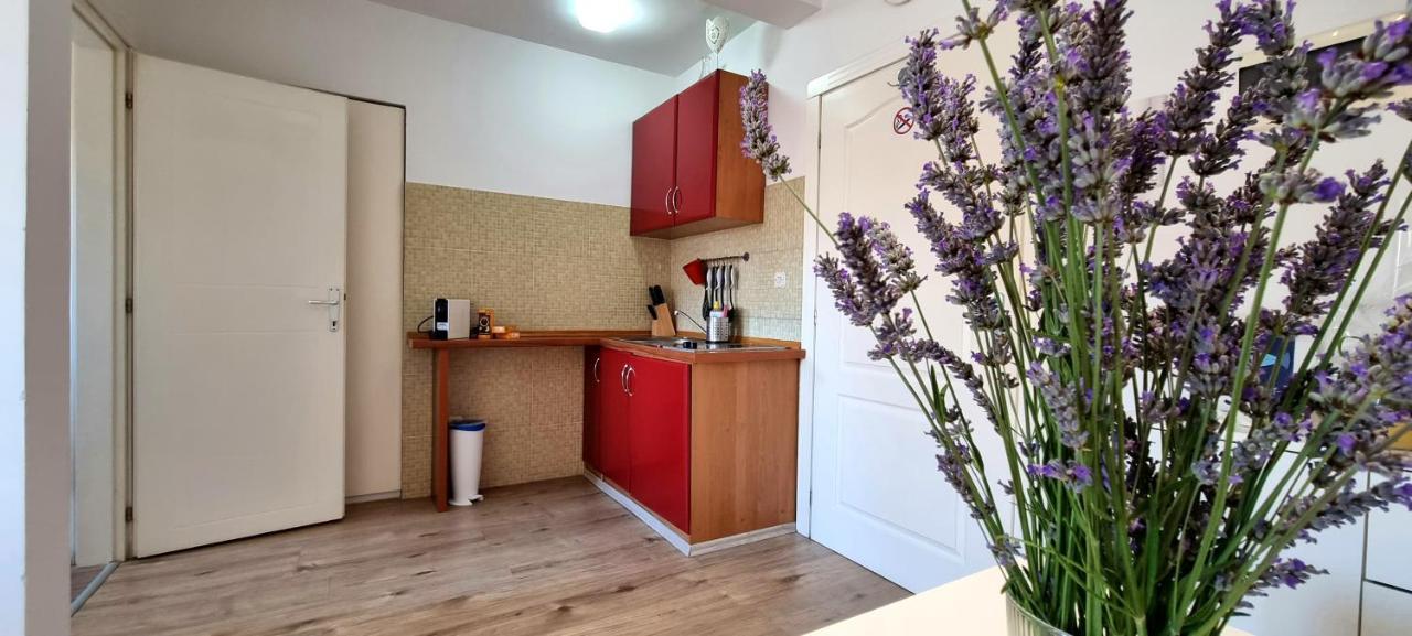 Tiny Studio Big Living Rovinj Exteriér fotografie