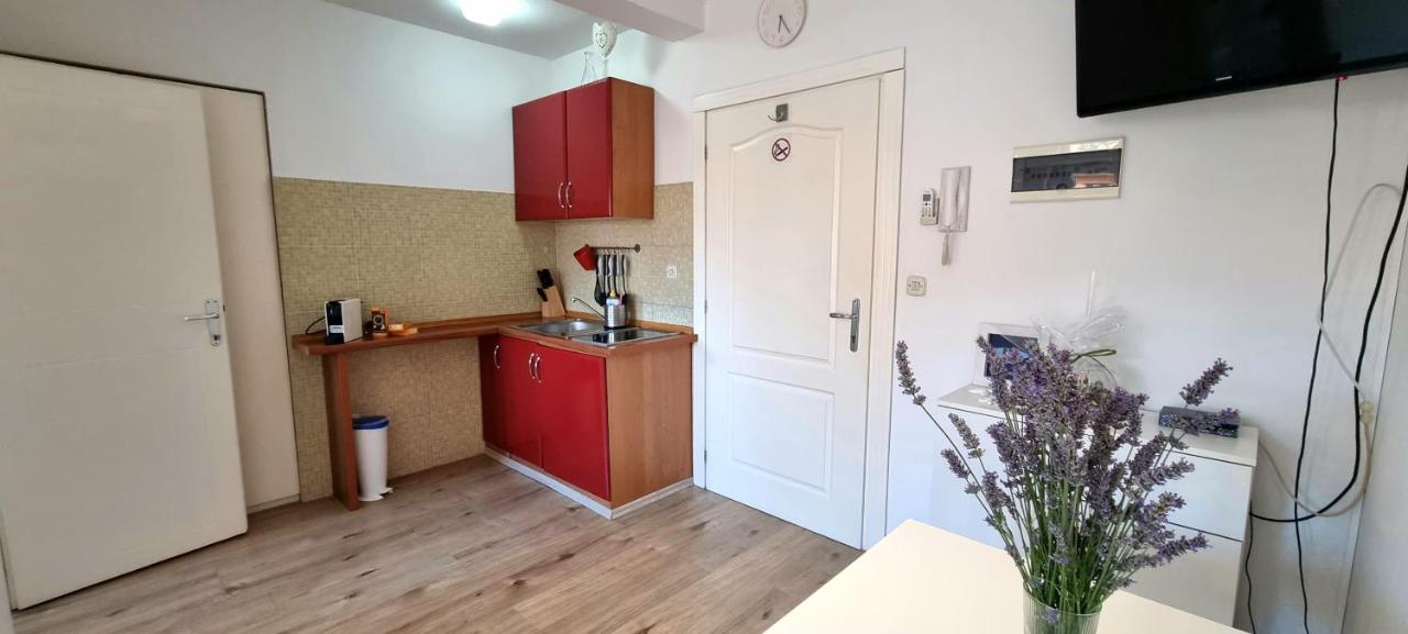 Apartmán Tiny Studio Big Living Rovinj Exteriér fotografie