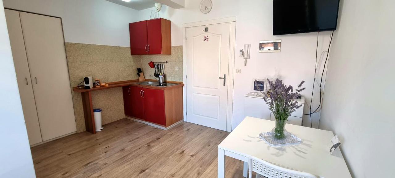 Tiny Studio Big Living Rovinj Exteriér fotografie